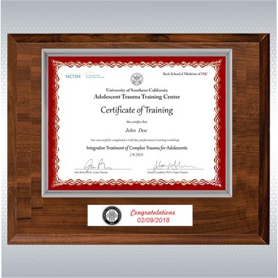 Cherry Wood And Silver Certificate Frame (12" x 15")