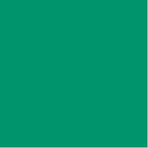 Festive Green Color-Flo™ Tissue Paper