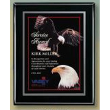 Ebony Piano Finish Plaque (8"x10")