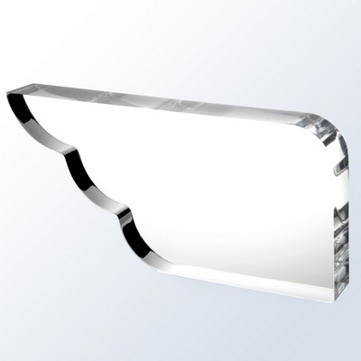 Acrylic Wing Award