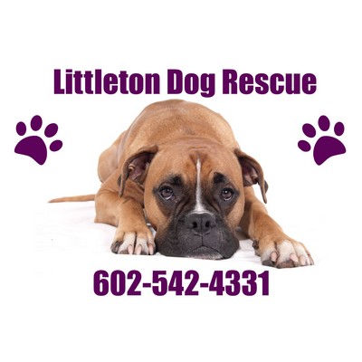 Yard Sign - 24" x 18" Full Color 2 Sided