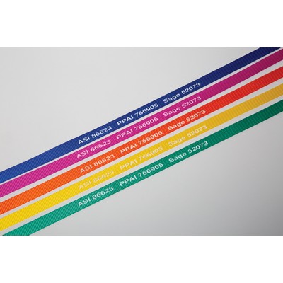 4' Neon Bright Pet Slip Leads