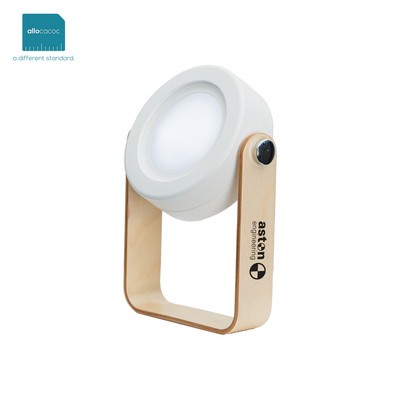 DesignNest Lantern Light