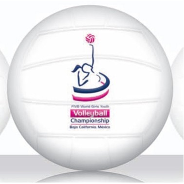 6" Large Volleyball - White Top