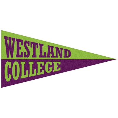 3" x 8" Custom Printed Mini Magnetic Felt Pennant