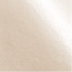 Champagne Two-Sided Pearlescence Printed Tissue