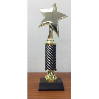 Diamond Cut Star Trophy