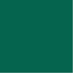 Forest Green Color-Flo™ Tissue Paper