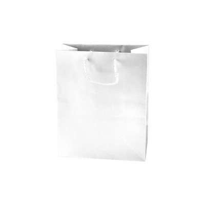 White Gloss shipping bag 8" x 4" x 10"
