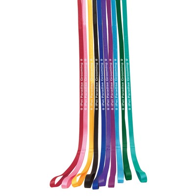 4' Personalized Pet Leads