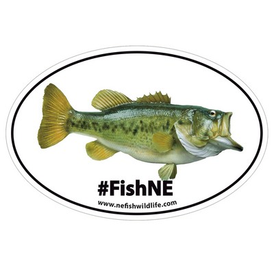 HD Resolution Bumper Sticker | Oval | 4" x 6" | White Vinyl
