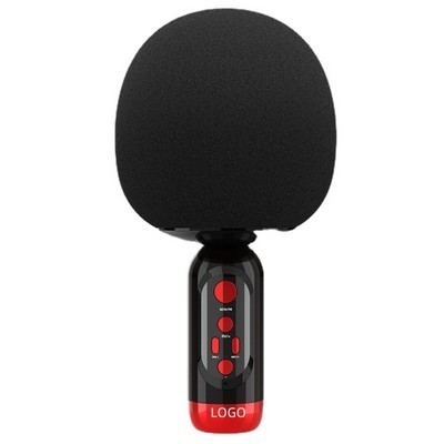 Handheld Microphone Speaker