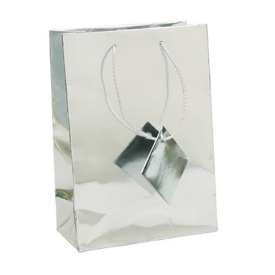 Large Metallic Silver Bag