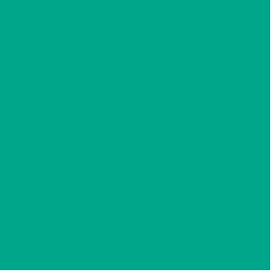 Dark Green Color-Flo™ Tissue Paper