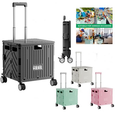 Handcart Shopping