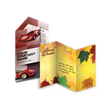 Full Page Promo Sell Sheet Flyer (11"x17")