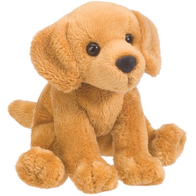 Gracie Golden Retriever