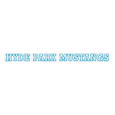 Inside Window Removable Decal | Rectangle | 1 1/2" x 18" | Clear Polyester